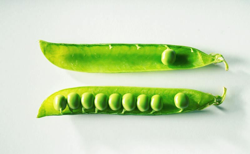 Erbsen in Schote